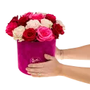 Květinový box růží